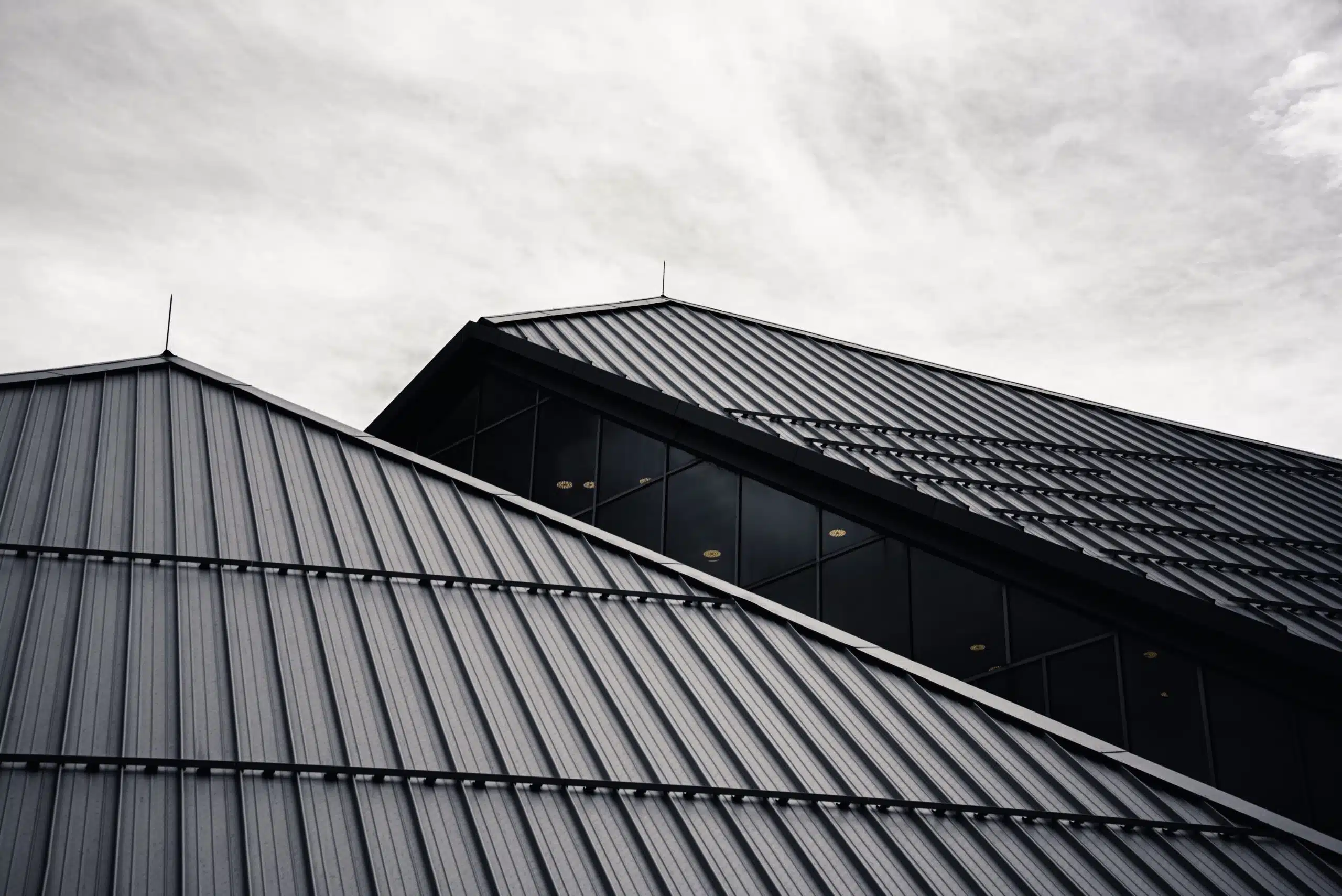 Types of a metal roof