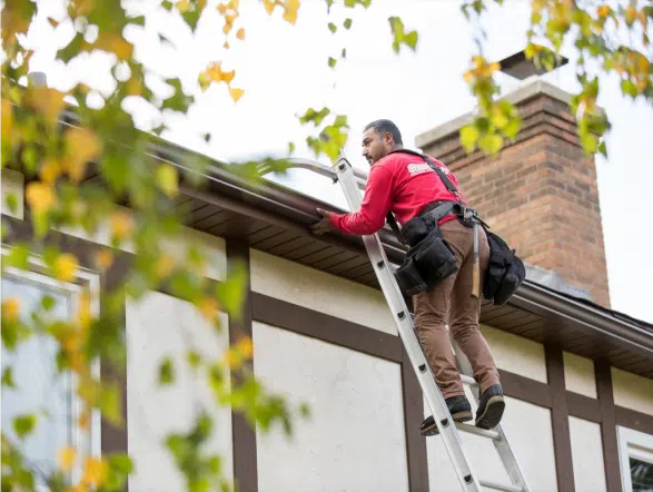 A maintenance worker on a ladder going up to the roof.