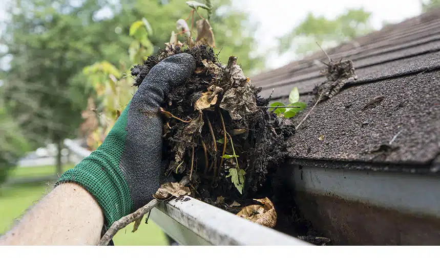 A hand with gloves pulling all the dead leaves at the gutter