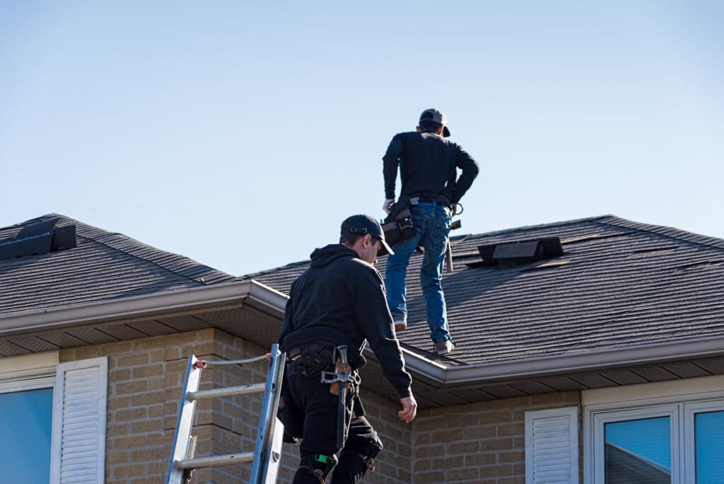 Professional Roofing Inspection