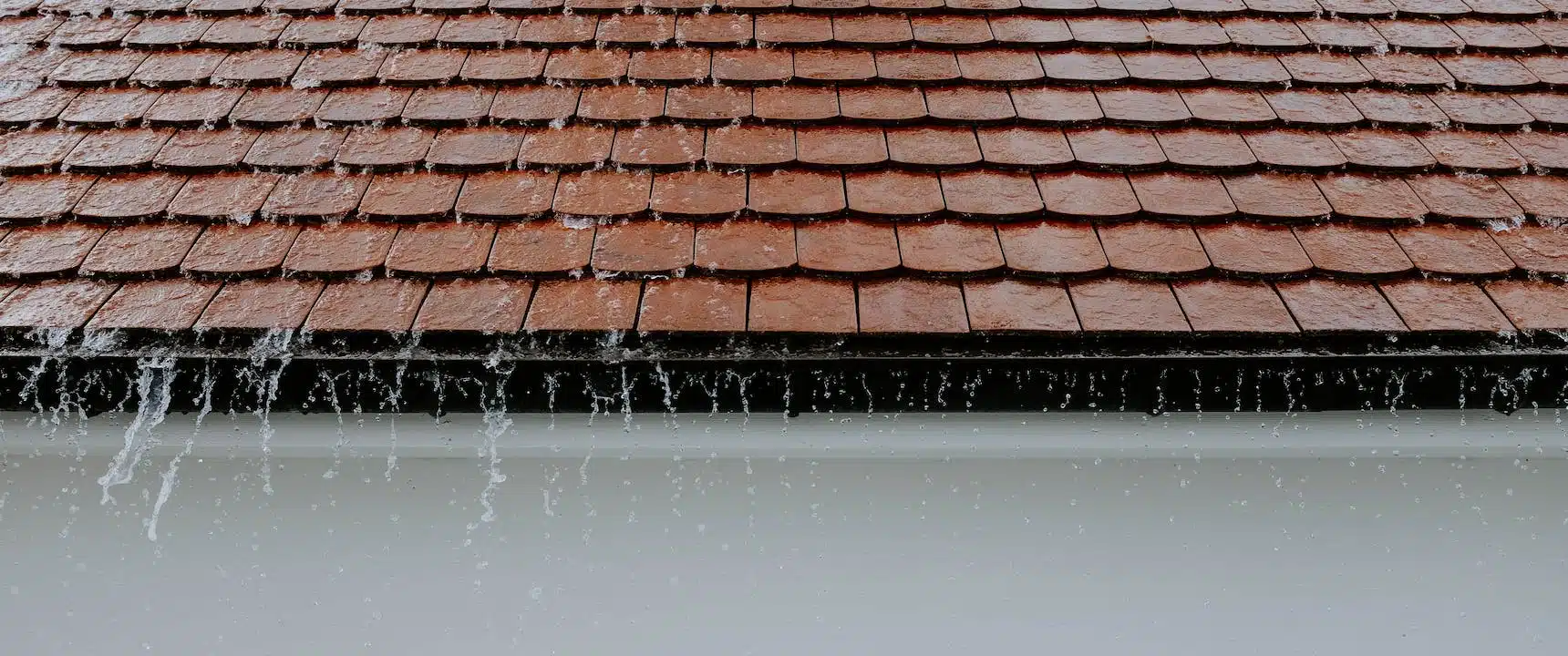 roof shingles during rainy season : Everything You Need to Know and Do When Your Roof Is Leaking