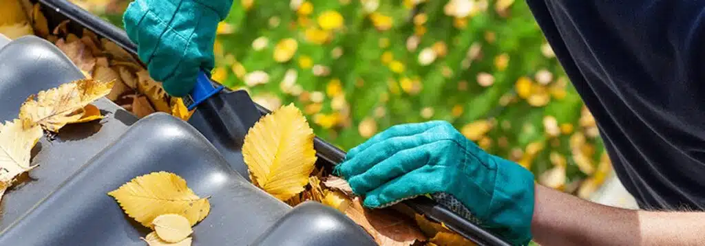 cleaning the gutters for Home Improvement & Maintenance Projects