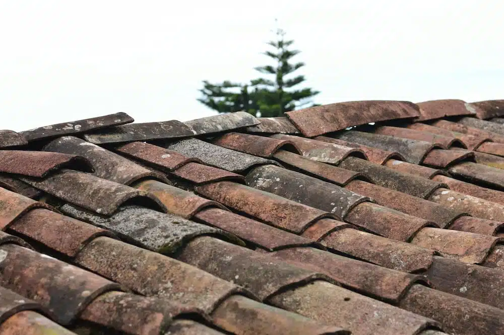 Signs Your Needs Repair