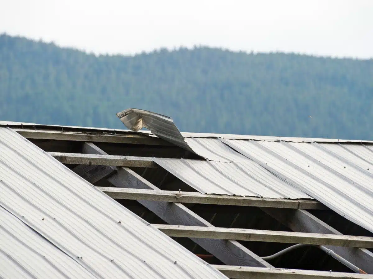 Man installing roof