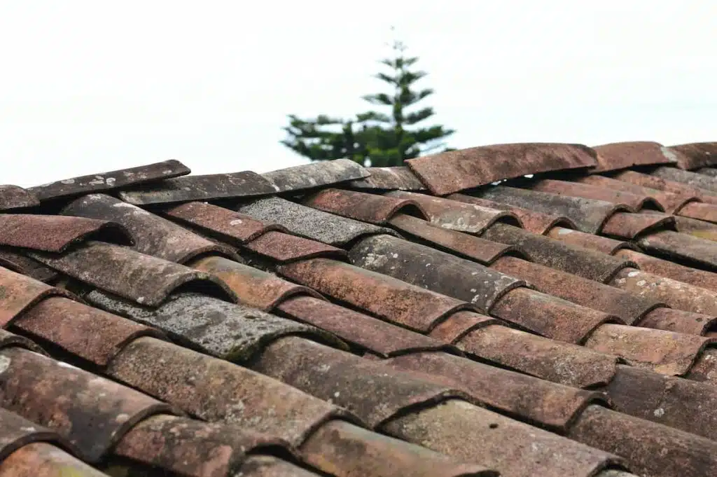 Asphalt Shingles