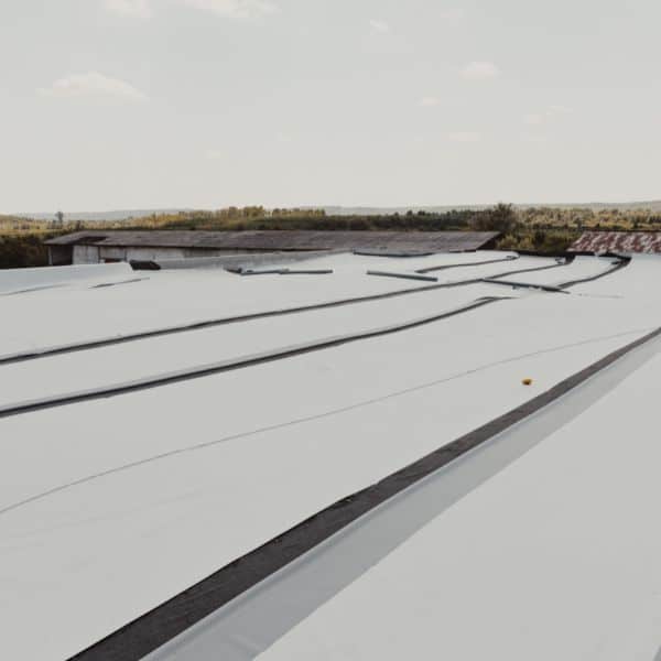 roof tpo