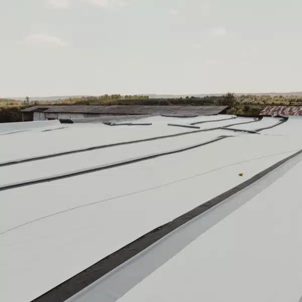 roof tpo