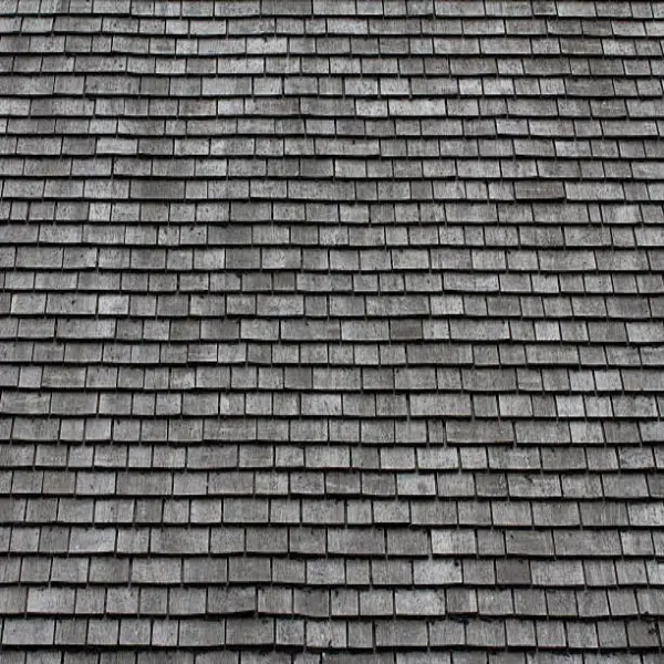 fortified roof