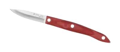 Small kitchen knife with stainless steel blade and red handle