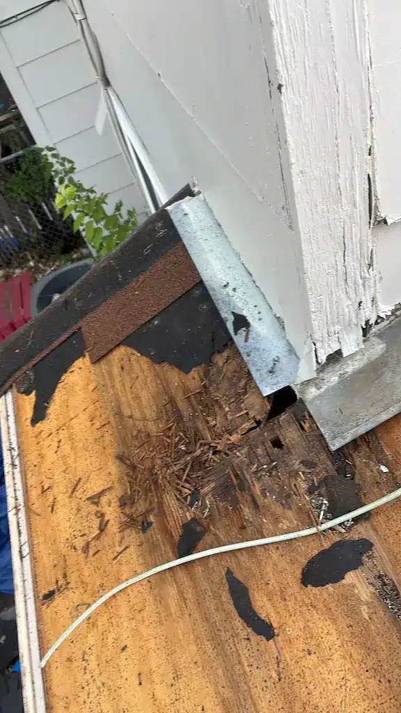 Hidden water damage and wood rot uncovered during a roof replacement in Austin, TX.