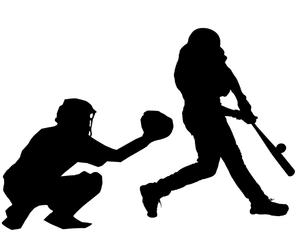 DuPage-Batting-Image